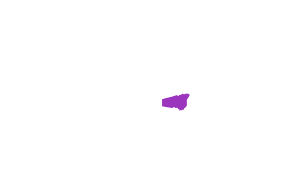 Snyder