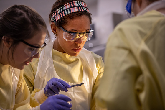 Chatham University medical student holds a scalpel while performing an exercise with an instructor. 