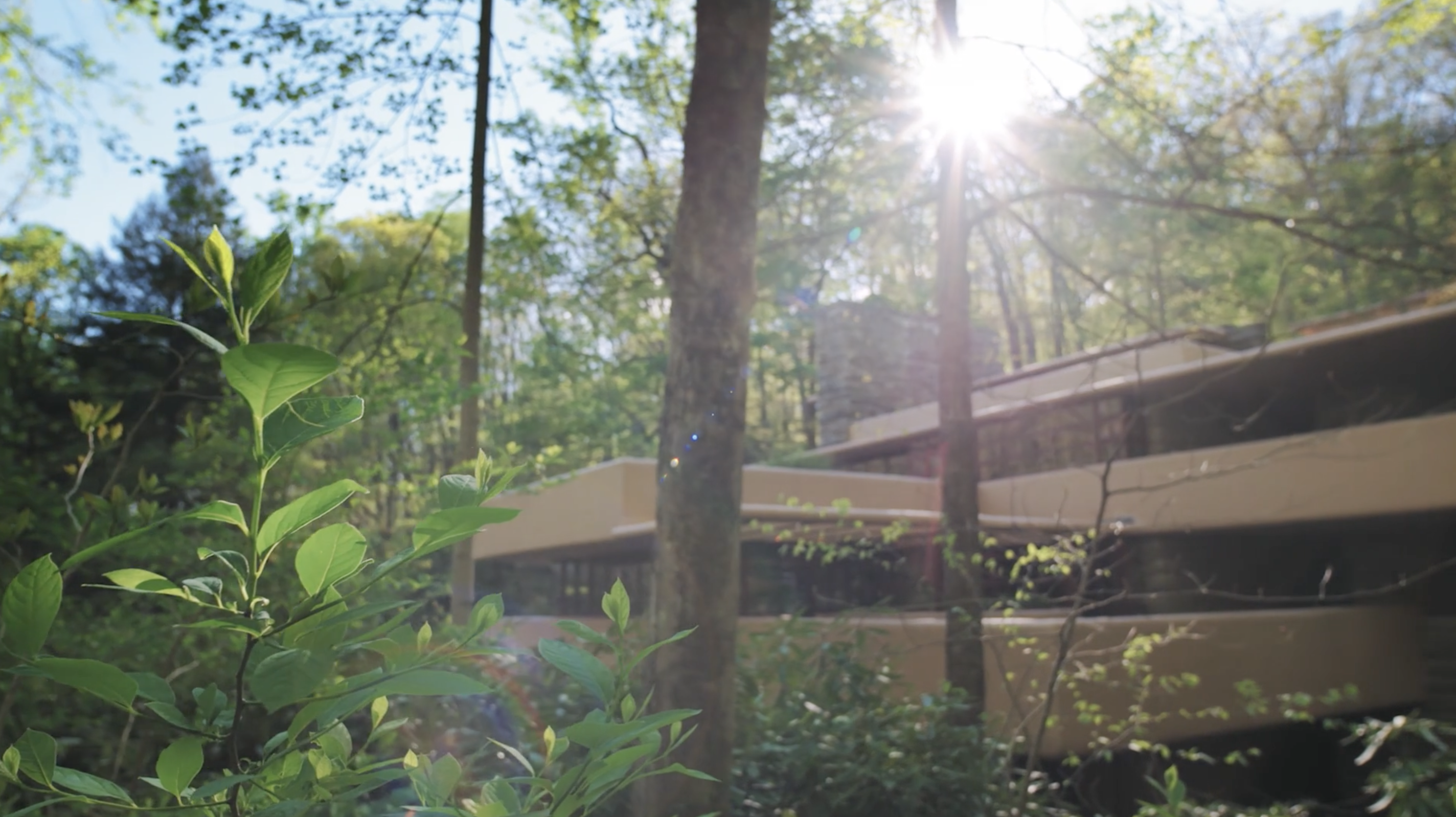 Photo of Fallingwater, with trees in the foreground