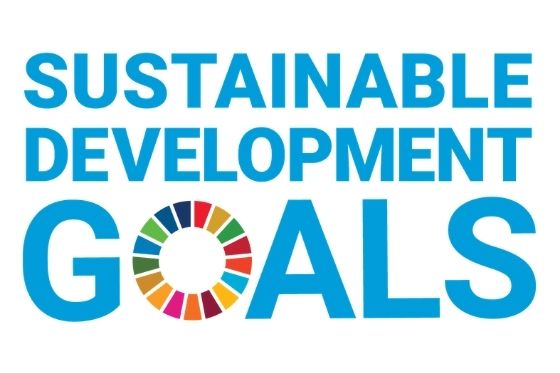Decorative image reading Sustainable Development Goals