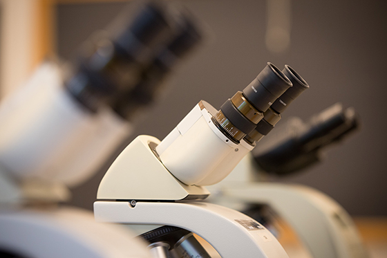 Close-up photo of microscopes on a table in a lab, with a chalkboard in the background