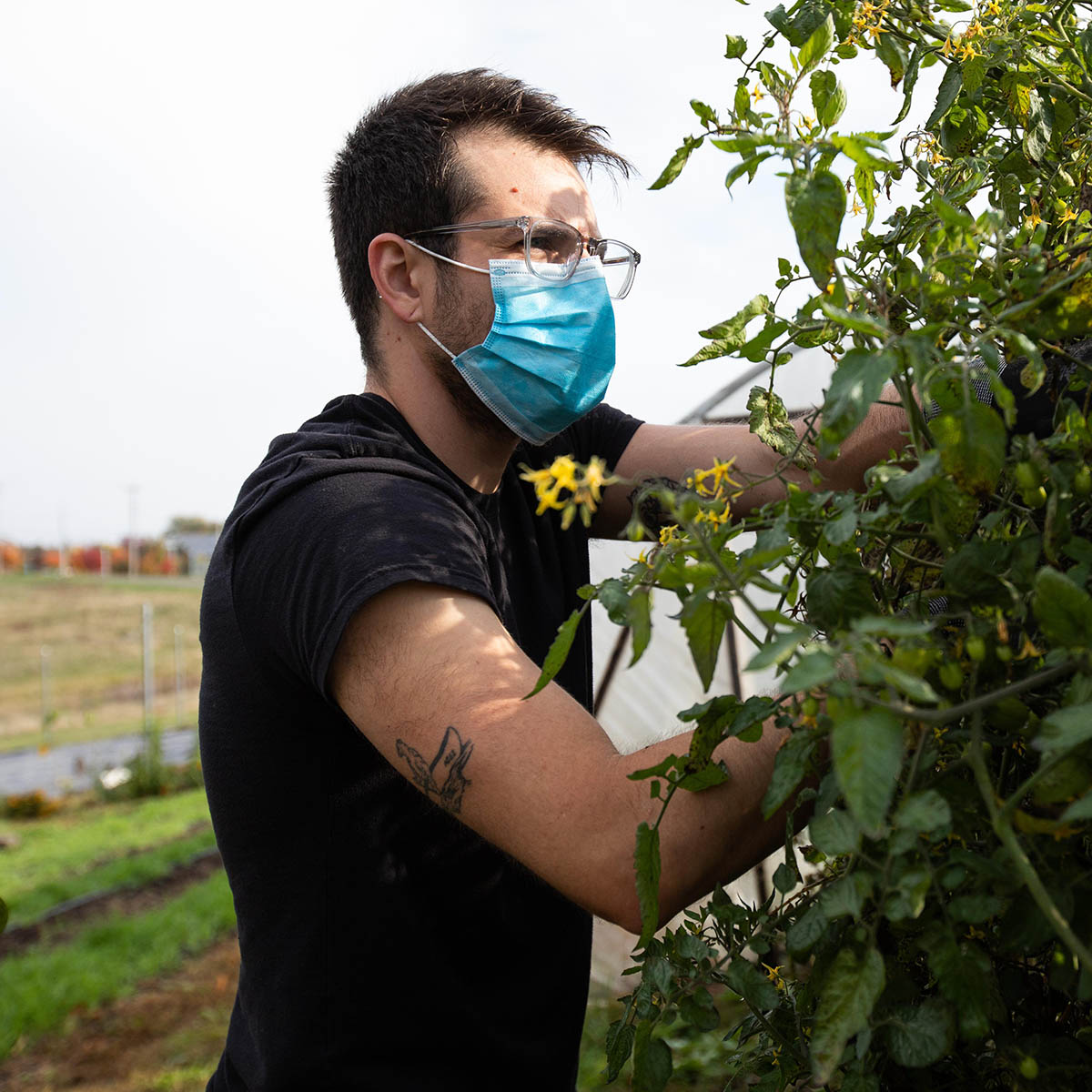 Photo of a male student in glasses and a mask working in the agroecology garden