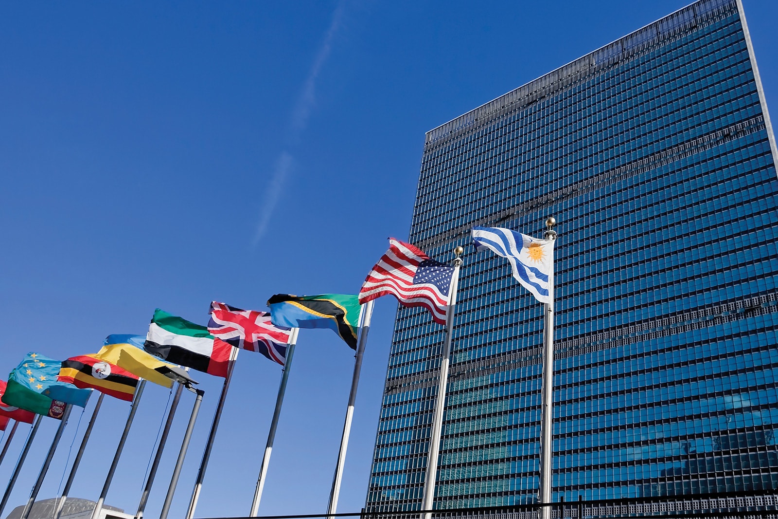 Photo of international flags waving in the breeze in front of the U.N.
