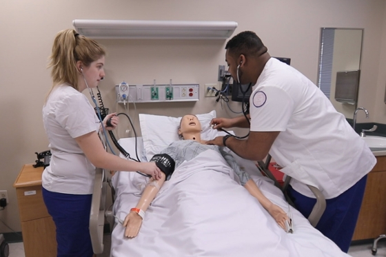 Photo of a Chatham University student watching an instructor demonstrate a procedure on a model of an adult