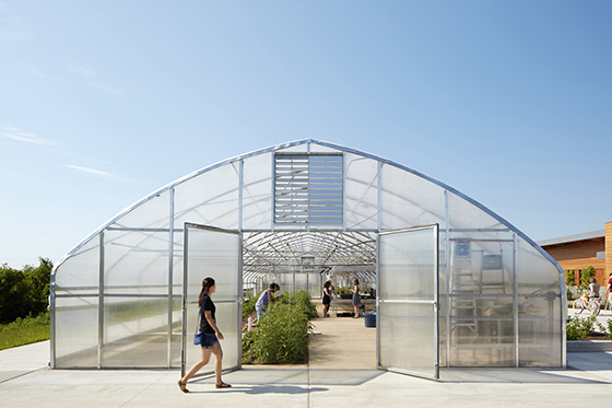 Photo of a Chatham University student walking past a greenhouse on Eden Hall Farm