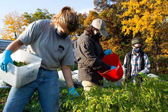 Photo of three masked Chatham University students working in the agroecology garden on Eden Hall Campus