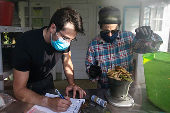 Photo of two masked Chatham University students working in an Eden Hall lab