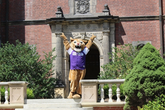 Photo of Chatham University's mascot, Carson Cougar, posing in front of a red brick building on Shadyside Campus