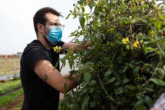 Photo of a masked Chatham University student working in the agroecology garden on Eden Hall Campus