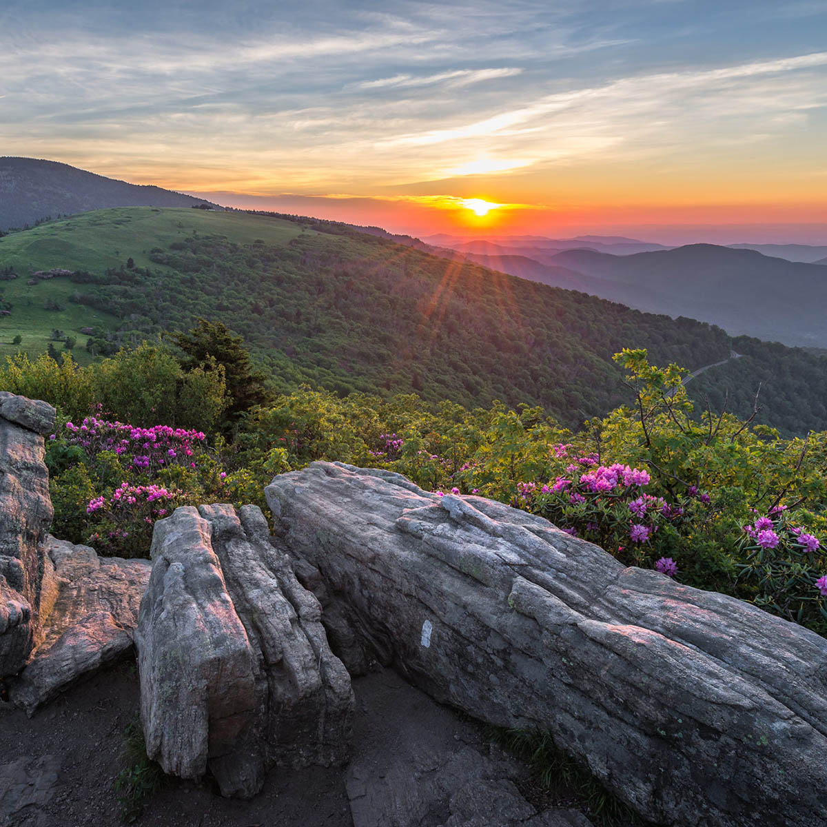 Photo of a beautiful sunrise over a mountain with flowers in the foreground