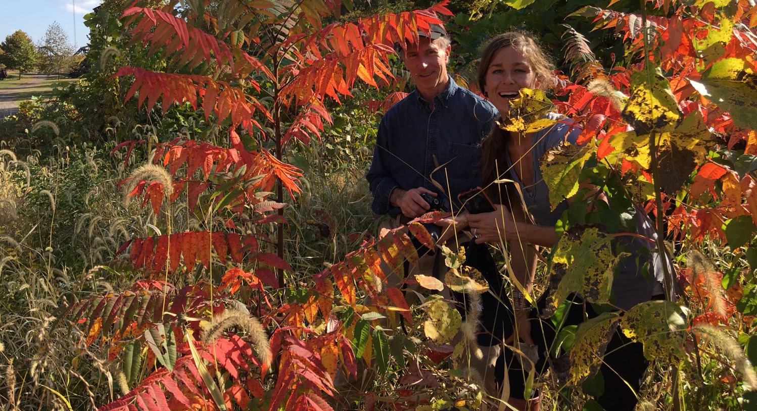 Photo of a man and woman smiling while walking through Chatham University's arboretum together surrounded by colorful leaves.