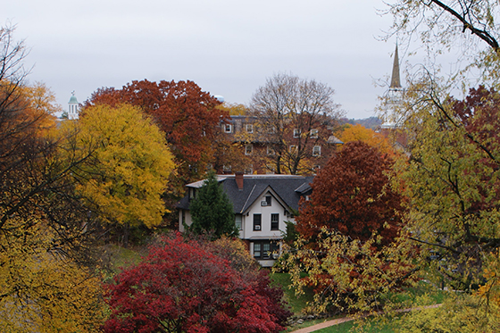 Photo of Chatham University's Shadyside Campus in the fall