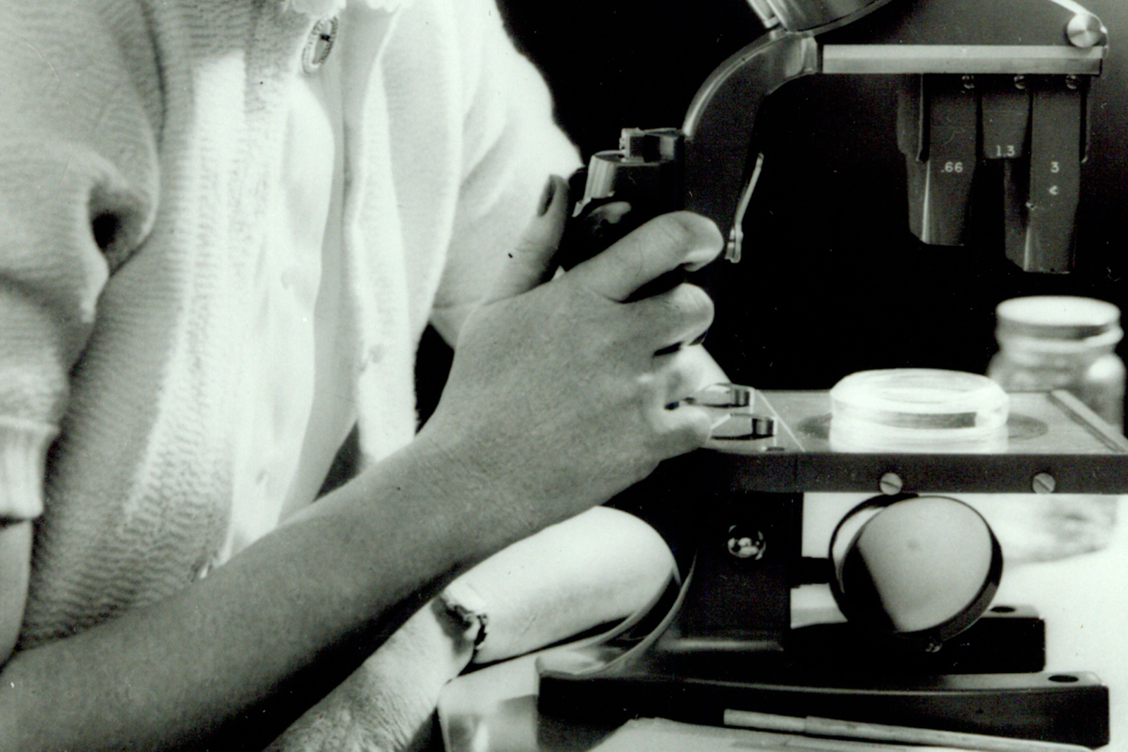 Black and white photo of Rachel Carson looking into a microscope