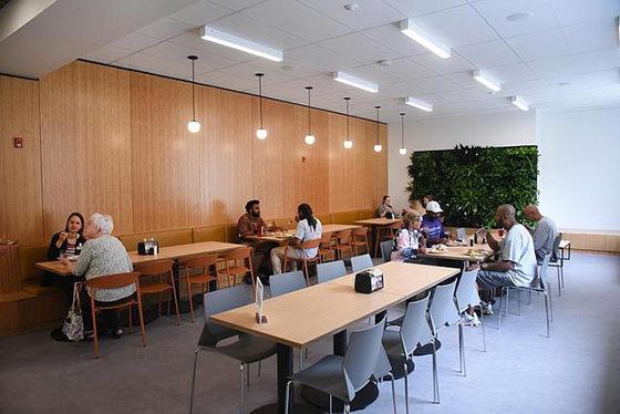 Photo of people eating in the newly renovated Anderson Dining Hall near a plant wall