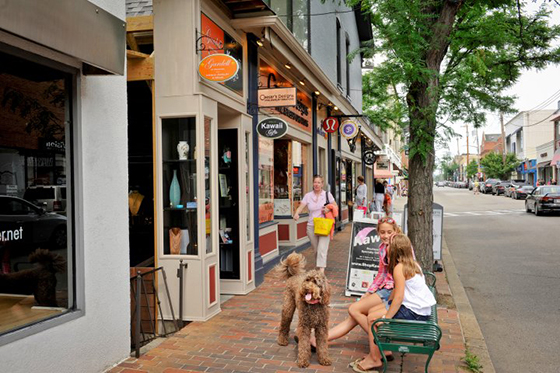 Photo of Pittsburgh's Walnut Street in Shadyside, with shops and people walking